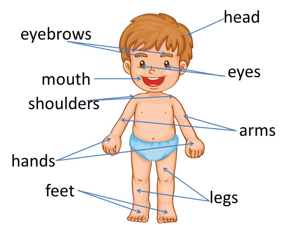 Phương pháp dạy và học tiếng Anh hiệu quả dành cho trẻ em